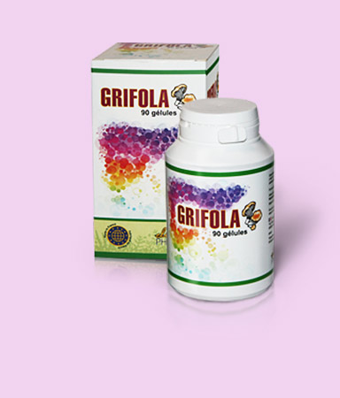 grifola